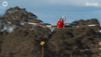 Challenge Plane GIF by The Traitors Australia
