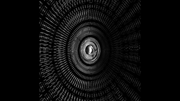 Video Art Max GIF