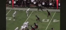 Utah Utes GIF