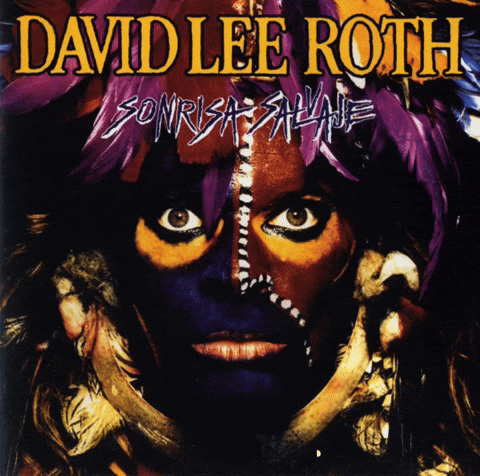David Lee Roth Yankeerose GIF