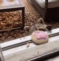 Cookie GIF by Storyful