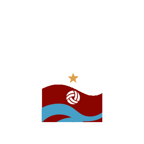 Trabzonspor Sticker by TS Prestij