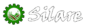 Silare Sticker