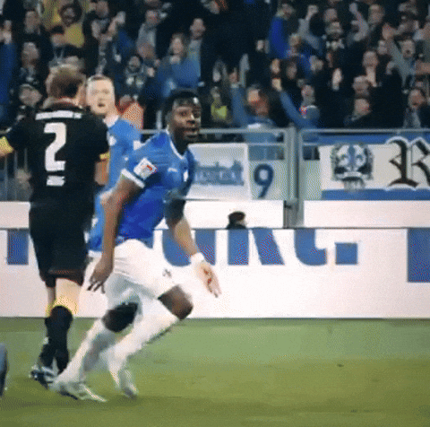 2 Bundesliga GIF