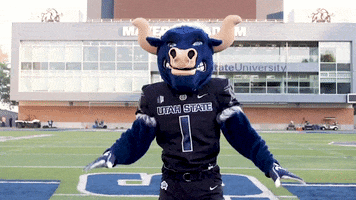 No Way Mascot GIF by Utah State University