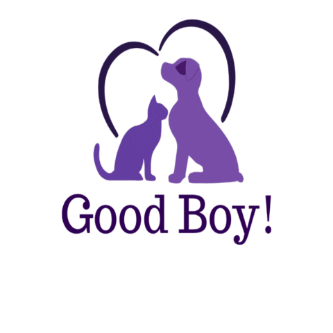 Good Boy Cat Sticker by RCO Pet Care