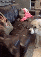 hit pain GIF