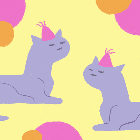 Cat Party GIF