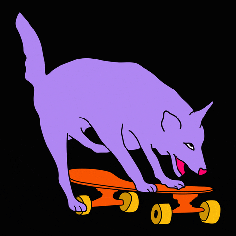 Dog Skate GIF by VISUAL SHITS