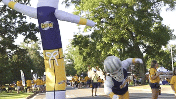Wave Mascot GIF by Georgia Southwestern State University