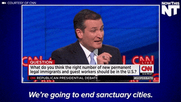 donald trump border GIF by NowThis 