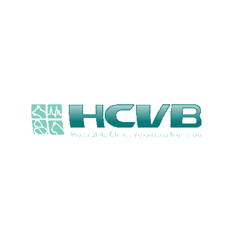 hcvb Sticker