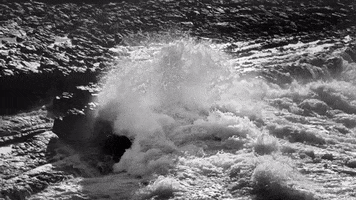 always ocean#cliff GIF