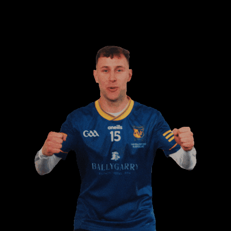 All-Ireland GIF by AIB