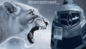 Lion Rage GIF