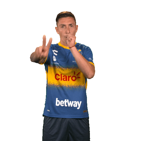 evertonvina Sticker