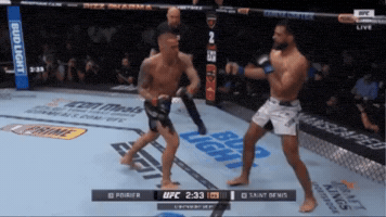 Dustin Poirier Ufc GIF