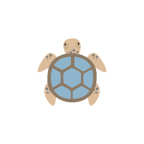 Island Media Sticker