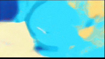 Phoenix Marco GIF