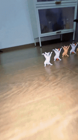 Chinese Cat GIF
