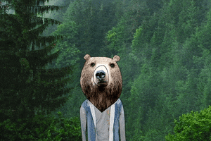 bear GIF by CsaK