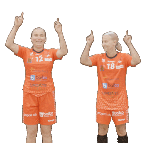 Red Ants Rychenberg Winterthur Sticker