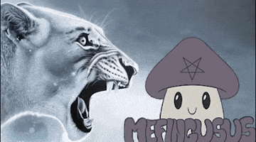 Angry Lion GIF