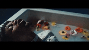 Music Video Applause GIF by whiterosemoxie