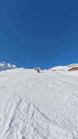 Richirck GIF