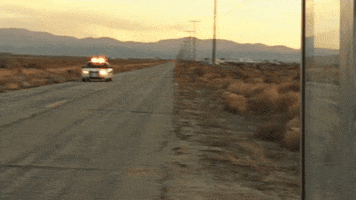 Country Music Police GIF by Shaboozey