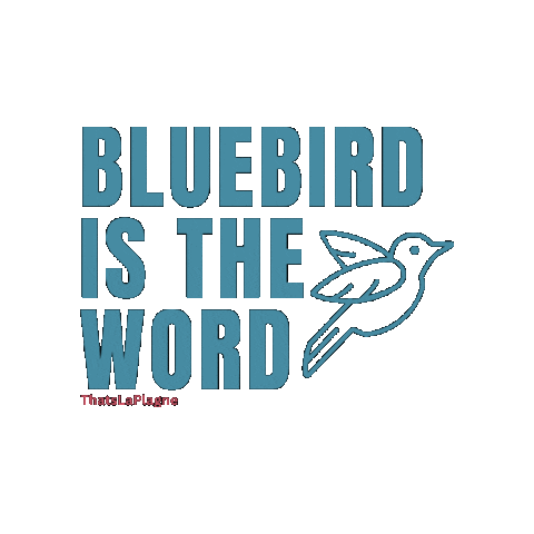 That's La Plagne Sticker