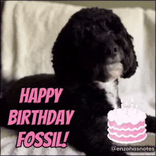 Getting Old Happy Birthday GIF