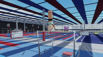 Roblox GIF