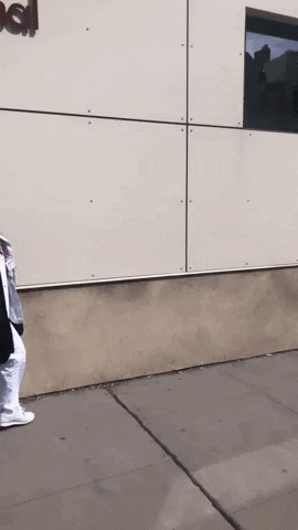 GIF by EasternInternationalcollege