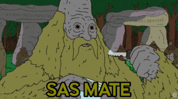 Mate Coke GIF