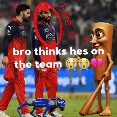 Ipl GIF