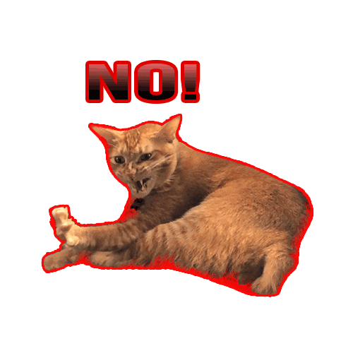 Cat Sticker