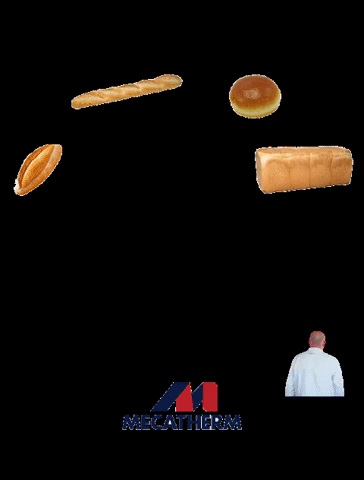 MECATHERM INDUSTRIAL BAKERY GIF