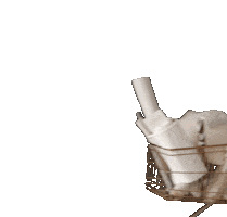 Vannes Superleuk Sticker by Van Nes - Wonen met comfort