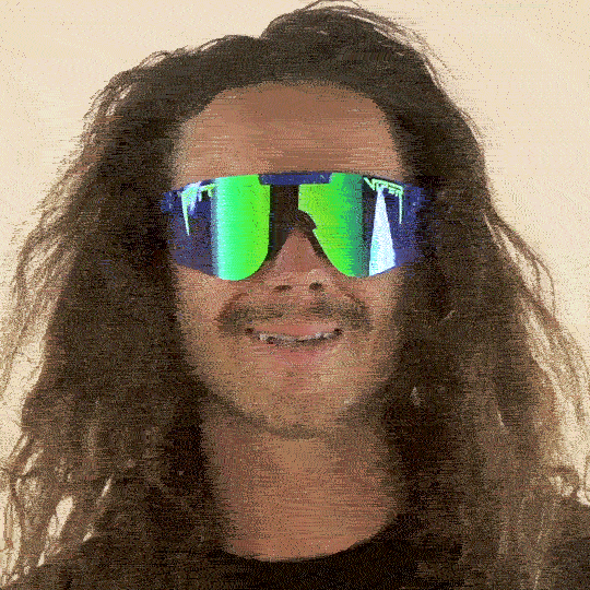 Pit Viper GIF Find & Share on GIPHY