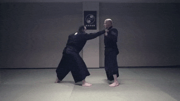 martial art ninja GIF by AKBAN Academy