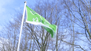 Green Flag Award GIF by Edge Hill University