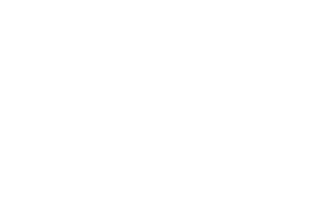 Platinum Properties Sticker