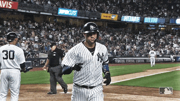 New York Sport GIF by New York Yankees