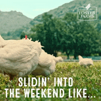 Excited Fun GIF by Foster Farms