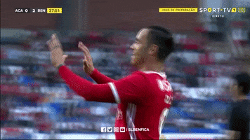 SL_Benfica celebration celebrate hug high five GIF