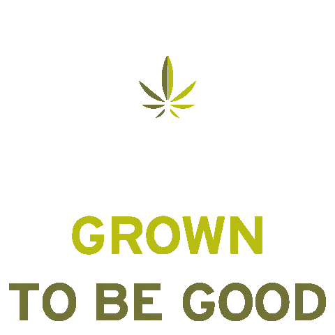 Cannabis Cbd Sticker by Hempfield Botanicals