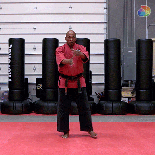 Martial Arts Fighting GIF by discovery+