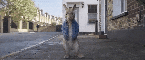 200.gif?cid=fc005b08b691bb4861c3a3d5dea3b095687f33969ace9101&rid=200.gif&ct=g