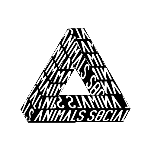 Marketing Agency Sticker by Social Animals